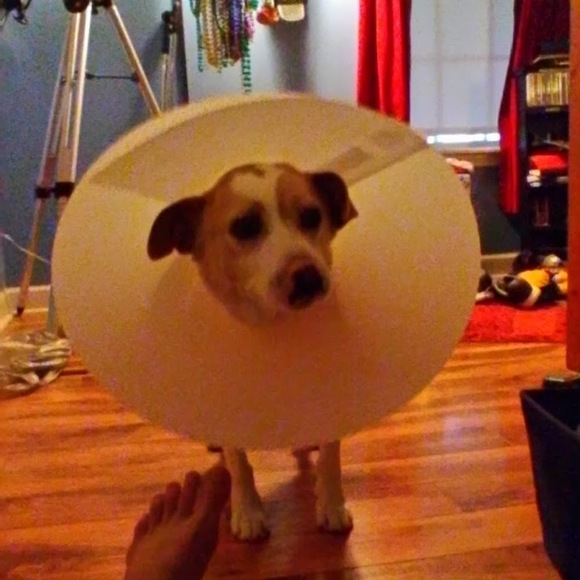 Meet your Posher, Peter - Picture 1 of 1